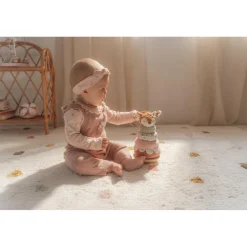 Tuimelstapelaar Fairy Garden